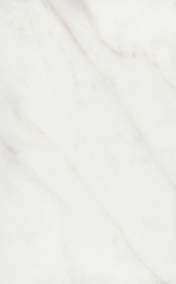 Гран Пале белый глянцевый 25x40x0,8