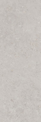 Риккарди серый светлый матовый обрезной 40x120x1