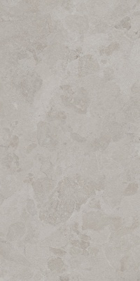 Сплит серый светлый матовый обрезной 60x119,5x0,8