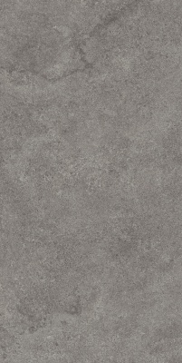 Портленд серый тёмный матовый обрезной 60x119,5x2