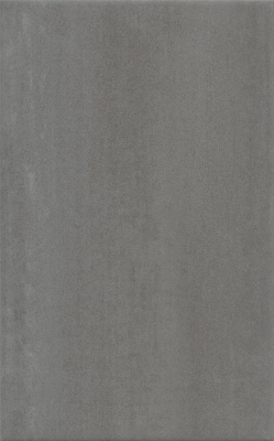 Ломбардиа серый темный матовый 25x40x0,8