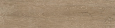 Аргания бежевый тёмный матовый 9,9x40,2x0,8